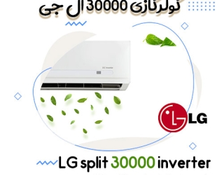 LG-split-30000