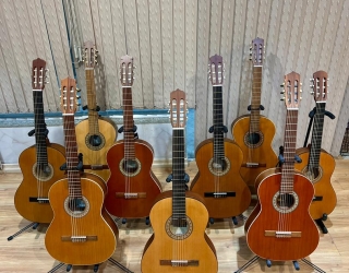 فروشگاه گیتار آویژه در کرج 