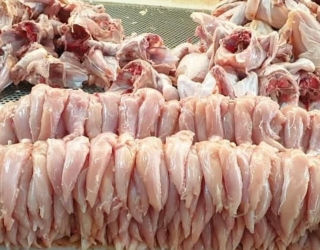 فروش گوشت مرغ