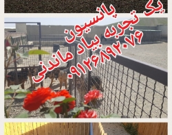 مرکز نگهداری و آموزش سگ در تهران 
